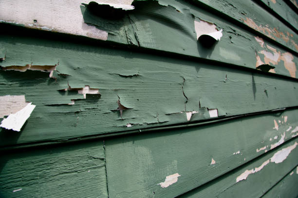 Recycling Services for Junk in Camp Croft, SC
